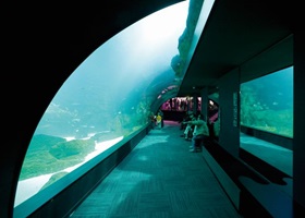 aquarium paris cineaqua walks