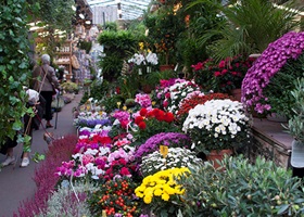 flower market in paris