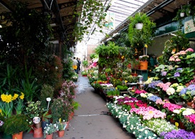 paris flower market