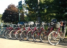 bikes renting in paris bois de boulogne