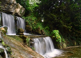 balades du bois de boulogne paris